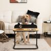 fooDog Bowl Stand with 2 Stainless Steel Food Water Bowls