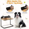 fooDog Bowl Stand with 2 Stainless Steel Food Water Bowls