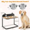 fooDog Bowl Stand with 2 Stainless Steel Food Water Bowls